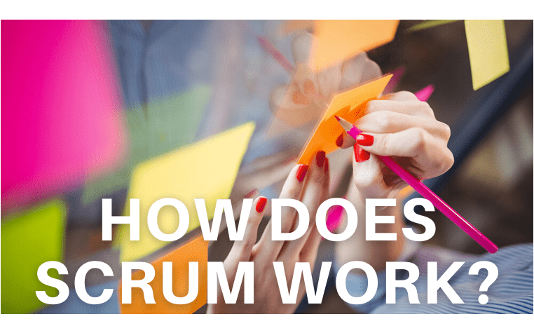 How does Scrum work